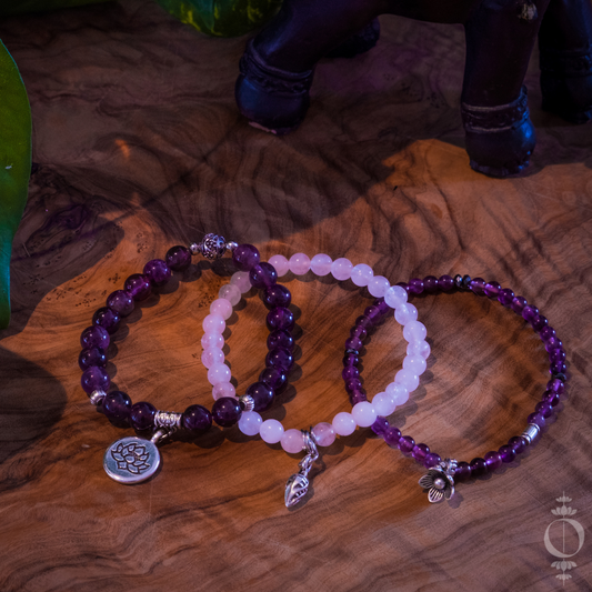 Bescherming & Persoonlijke Ontwikkeling Armbanden set